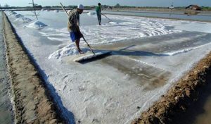 Kualitas Terbaik Yang Ada Di Indonesia Untuk Kebutuhan Masyarakat