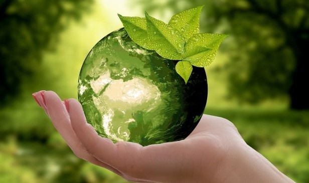 5 Cara Mudah Untuk Berpatisipasi Dalam Penyelamatan Lingkungan Hidup